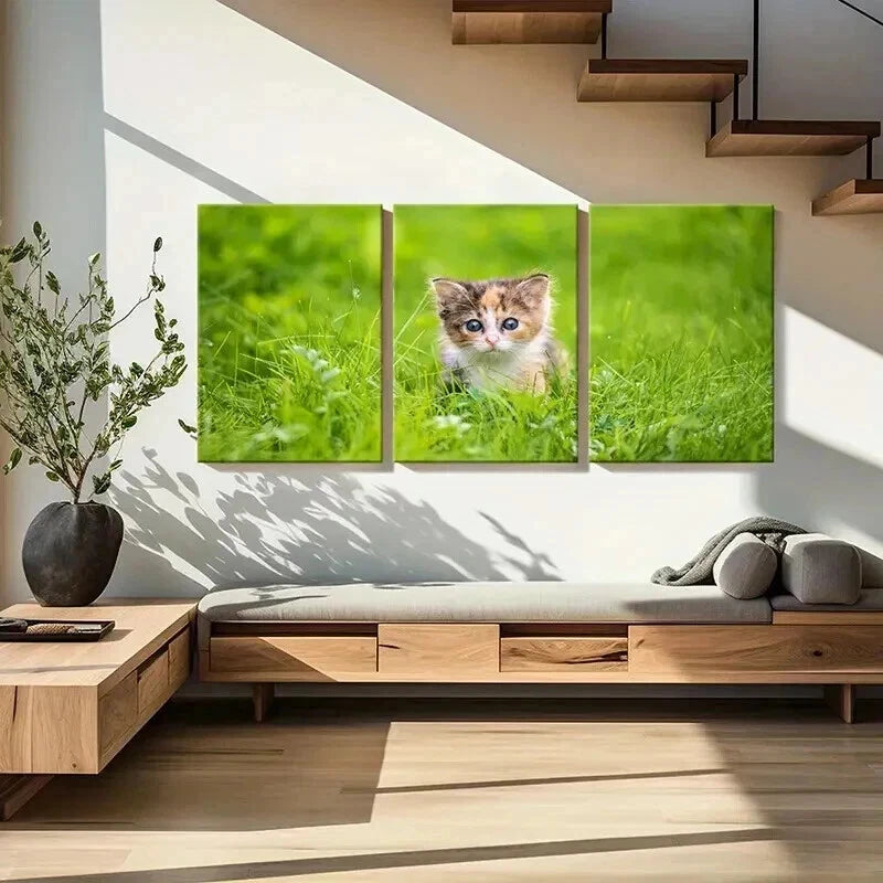 3pcs Cute Small Kitten In Grass Portrait Wall Art Set Canvas Framed 40x60cm - High Quality Print 100% Australian Made Wall Canvas Ready to Hang - Bella Home Decor