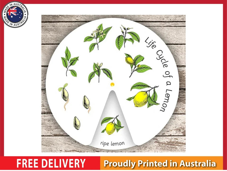 NEW (LAMINATED) LIFE CYCLE OF A LEMON (61X91CM) EDUCATIONAL CHART PICTURE PRINT