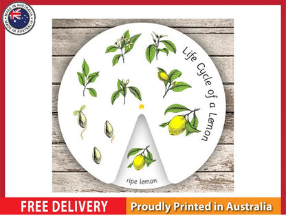 NEW (LAMINATED) LIFE CYCLE OF A LEMON (61X91CM) EDUCATIONAL CHART PICTURE PRINT