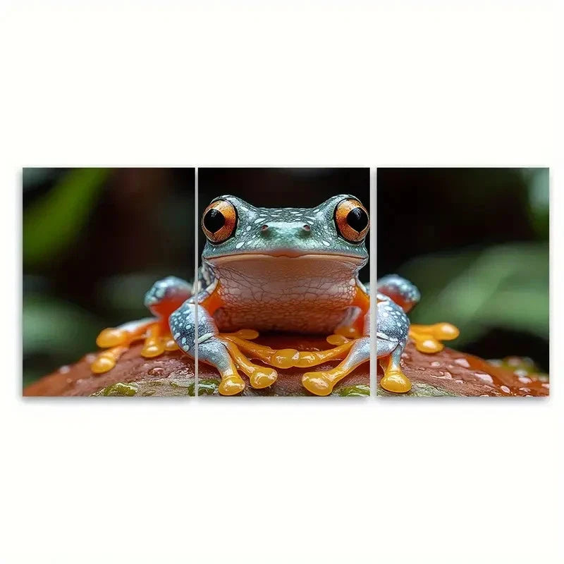 3pcs Tree Frog Art of Animals T  Wall Art Set Canvas Framed 40x60cm - High Quality Print 100% Australian Made Wall Canvas Ready to Hang - Bella Home Decor