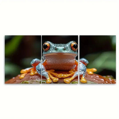 3pcs Tree Frog Art of Animals T  Wall Art Set Canvas Framed 40x60cm - High Quality Print 100% Australian Made Wall Canvas Ready to Hang - Bella Home Decor