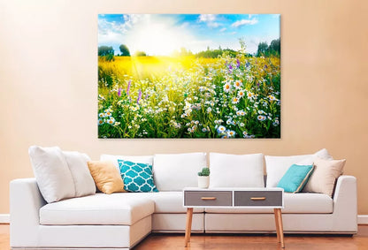 Sun-Drenched Spring Summer Meadow Wall Art Decor 100% Australian Made - Bella Home Decor
