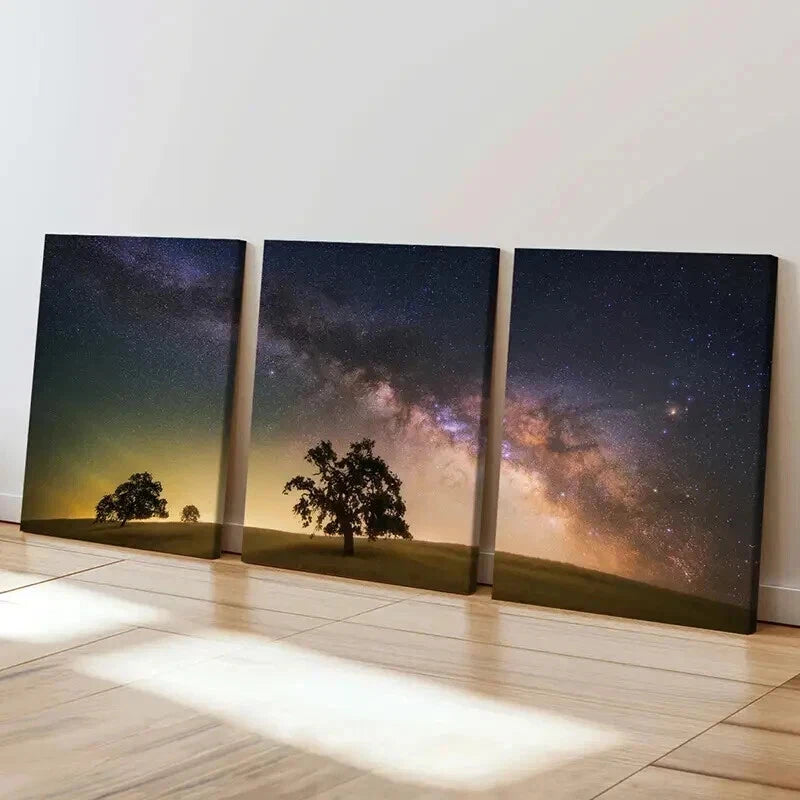 3pcs Desert Starry Sky & Trees Decoration Wall Art Set Canvas Framed 50x70cm - High Quality Print 100% Australian Made Wall Canvas Ready to Hang - Bella Home Decor