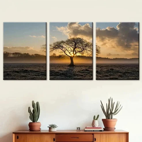 3pcs Tree Of Life On Prairie Sunset Landscape Perfect Wall Art Canvas Unframed – High Quality Print 100% Australian Made Wall Canvas