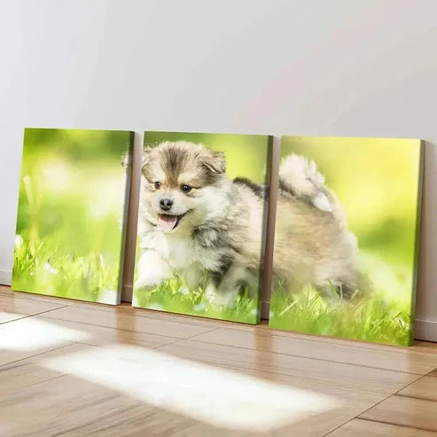 3pcs Brown Puppy on Green Grass Painting Wall Art Canvas Unframed - High Quality Print 100% Australian Made Wall Canvas - Bella Home Decor