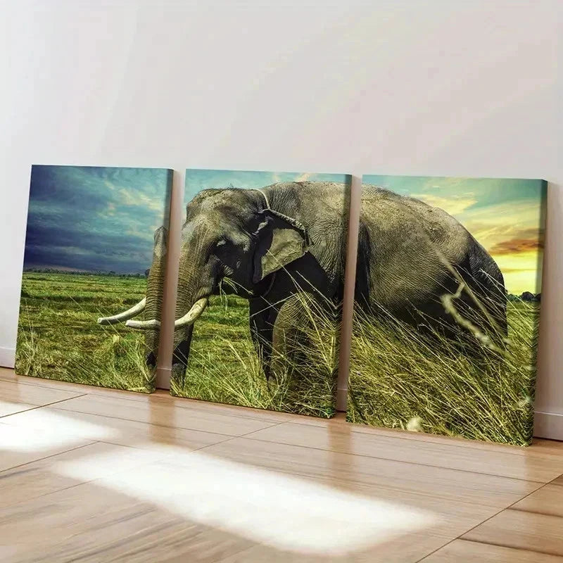 3pcs African Savanna Elephant Portrait Wall Art Set Canvas Framed 50x70cm - High Quality Print 100% Australian Made Wall Canvas Ready to Hang - Bella Home Decor