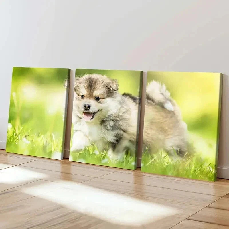 3pcs Brown Puppy on Green Grass Painting Wall Art Set Canvas Framed 60x90cm - High Quality Print 100% Australian Made Wall Canvas Ready to Hang - Bella Home Decor