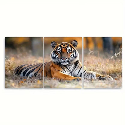 3pcs Resting in Tiger Reserve National Park Wall Art Set Canvas Framed 60x90cm - High Quality Print 100% Australian Made Wall Canvas Ready to Hang