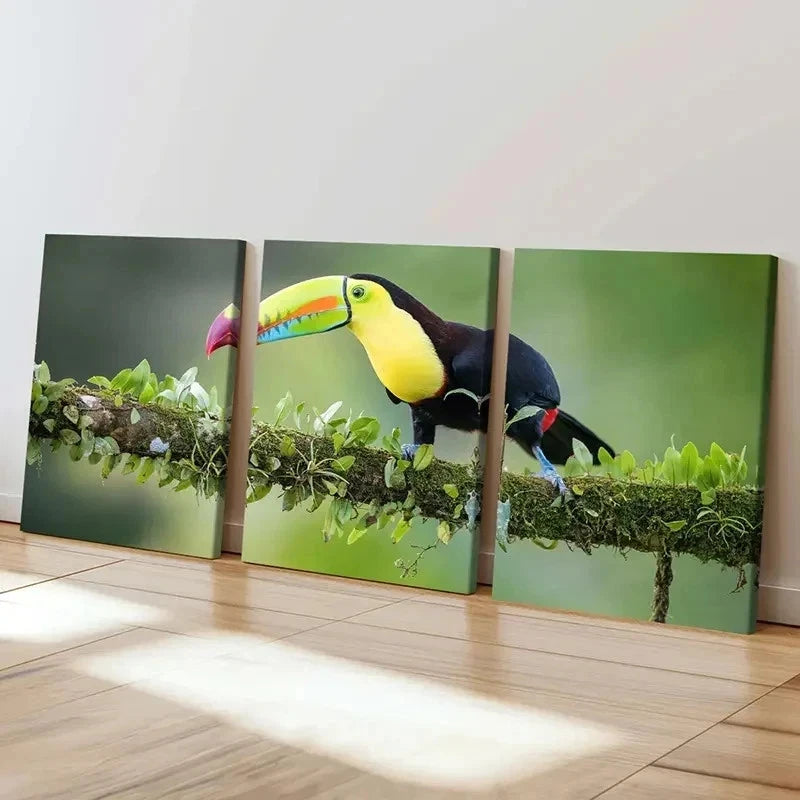 3pcs Bird  Animal Art Toucan Portrait Wall Art Set Canvas Framed 40x60cm - High Quality Print 100% Australian Made Wall Canvas Ready to Hang - Bella Home Decor