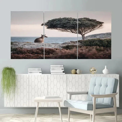 3pcs Kangaroo Island Reserve in Australia   Wall Art Set Canvas Framed 60x90cm - High Quality Print 100% Australian Made Wall Canvas Ready to Hang
