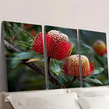 3pcs Banksia Australian Wild flower Wall Art Set Canvas Framed 60x90cm - High Quality Print 100% Australian Made Wall Canvas Ready to Hang - Bella Home Decor