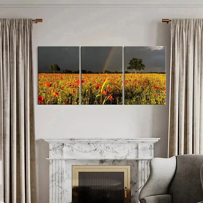 3pcs Vibrant Flower Field & Rainbow Landscape Wall Art Set Canvas Framed 60x90cm - High Quality Print 100% Australian Made Wall Canvas Ready to Hang - Bella Home Decor