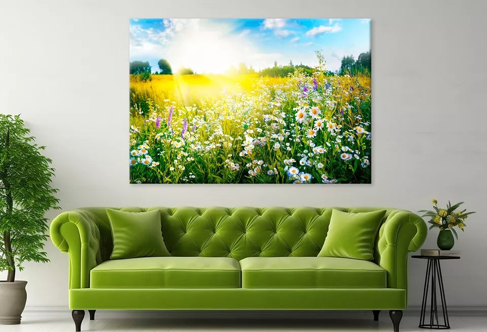 Sun-Drenched Spring Summer Meadow Wall Art Decor 100% Australian Made - Bella Home Decor