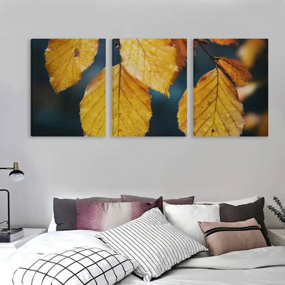 3pcs Beech Tree Yellow Leaves in Autumn Wall Art Set Canvas Framed 40x60cm - High Quality Print 100% Australian Made Wall Canvas Ready to Hang - Bella Home Decor