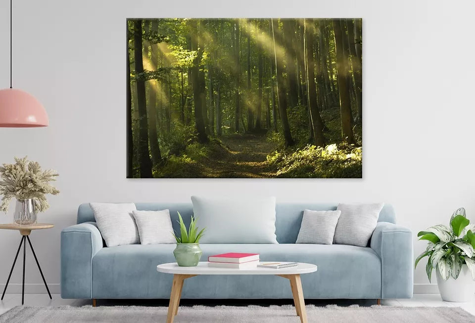 Beams Of Sunlight And Trees Wall Art Decor 100% Australian Made - Bella Home Decor