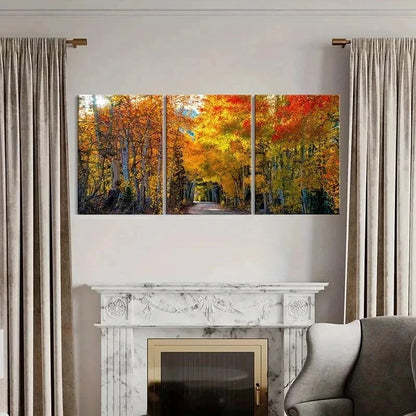 3pcs Autumn Nature Landscape Golden Birch Tree Wall Art Set Canvas Framed 40x60cm - High Quality Print 100% Australian Made Wall Canvas Ready to Hang - Bella Home Decor