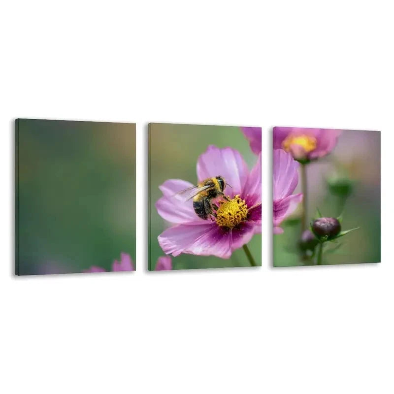 3pcs Bee on the Flower of a Pink Cosmos Plant Wall Art Set Canvas Framed 40x60cm - High Quality Print 100% Australian Made Wall Canvas Ready to Hang - Bella Home Decor