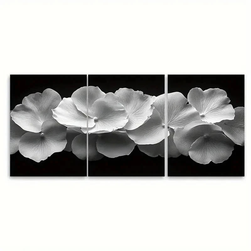 3pcs Black and White Delicate Rose RT  Wall Art Set Canvas Framed 50x70cm - High Quality Print 100% Australian Made Wall Canvas Ready to Hang - Bella Home Decor