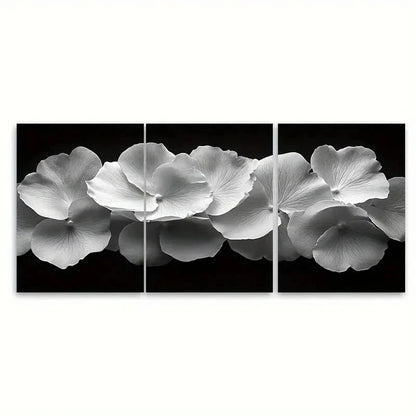 3pcs Black and White Delicate Rose RT  Wall Art Set Canvas Framed 50x70cm - High Quality Print 100% Australian Made Wall Canvas Ready to Hang - Bella Home Decor