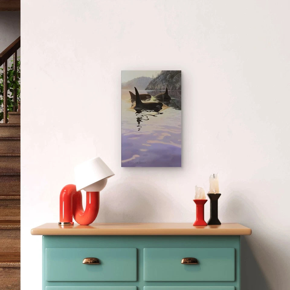 Orca in Tranquil Waters Metal Print Ready to Hang