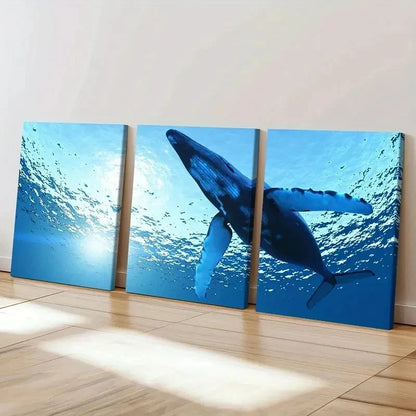 3pcs Sea Life Mammals Whales Modern Wall Art Set Canvas Framed 50x70cm - High Quality Print 100% Australian Made Wall Canvas Ready to Hang