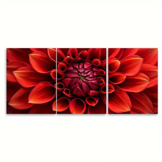 3pcs Striking Macro Photograph of Scarlet Dahlia Metal Print Ready to Hang Art