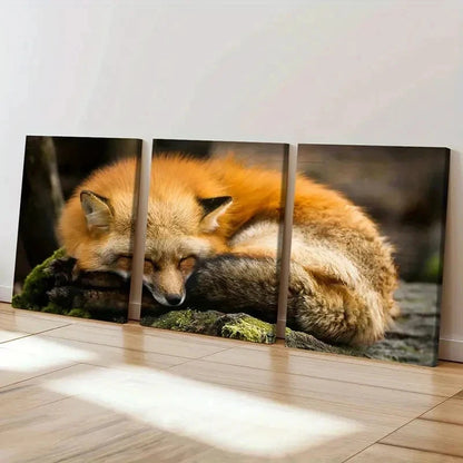 3pcs Orange Fox Sleeping on the Ground Wall Art Set Canvas Framed 50x70cm - High Quality Print 100% Australian Made Wall Canvas Ready to Hang