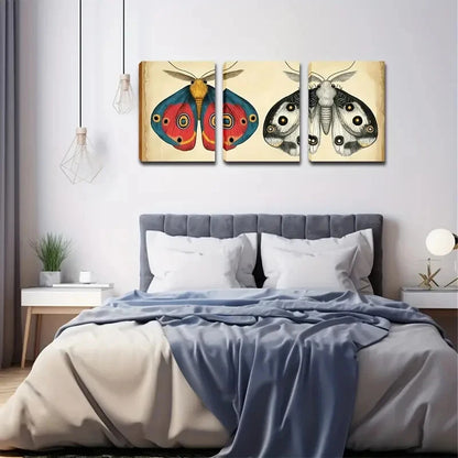 3pcs Illustration Depicting Two Moths Perfect Wall Art Set Canvas Framed 40x60cm - High Quality Print 100% Australian Made Wall Canvas Ready to Hang - Bella Home Decor