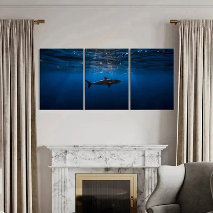 3pcs Sea Life Scene with Realistic Shark Wall Art Set Canvas Framed 60x90cm - High Quality Print 100% Australian Made Wall Canvas Ready to Hang - Bella Home Decor