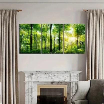 3pcs Sun Through Green Forest Landscape Wall Art Canvas Unframed - High Quality Print 100% Australian Made Wall Canvas
