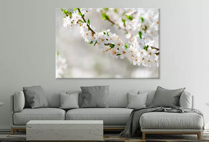 Elegant White Plum Blossom Wall Art Decor 100% Australian Made - Bella Home Decor