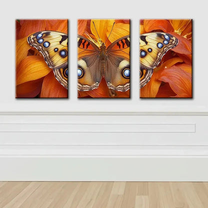 3pcs Butterfly Canvas Art Set Wall Art Set Canvas Framed 40x60cm - High Quality Print 100% Australian Made Wall Canvas Ready to Hang - Bella Home Decor