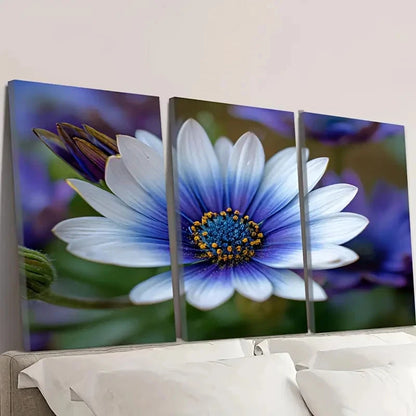 3pcs Vibrant Blue & White Daisy Flowers Wall Art Set Canvas Framed 50x70cm - High Quality Print 100% Australian Made Wall Canvas Ready to Hang