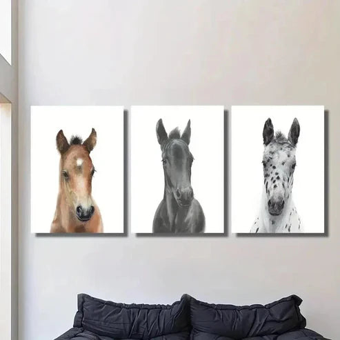 3pcs Brown Black White Pony Decoration Wall Art Canvas Unframed - High Quality Print 100% Australian Made Wall Canvas - Bella Home Decor