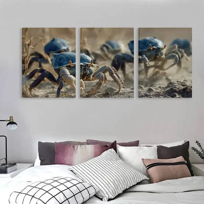 3pcs Group of Crabs Carrying Blue Shells  Wall Art Set Canvas Framed 40x60cm - High Quality Print 100% Australian Made Wall Canvas Ready to Hang