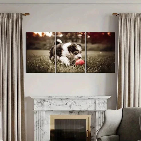 3pcs Puppy Playing Ball On Lawn Wall Art Canvas Unframed - High Quality Print 100% Australian Made Wall Canvas