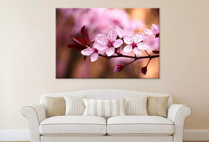 Peach Tree Branch With Blossom Wall Art Decor 100% Australian Made - Bella Home Decor