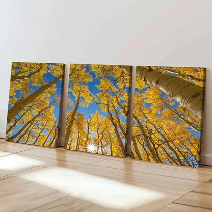 3pcs Autumn Golden Birch Forest Landscape Wall Art Set Canvas Framed 40x60cm - High Quality Print 100% Australian Made Wall Canvas Ready to Hang - Bella Home Decor