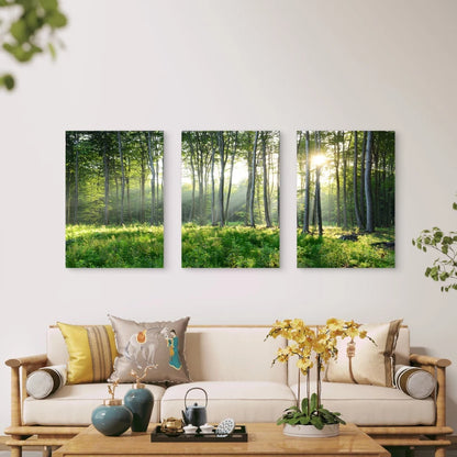 3pcs Golden Sunbeams Pierce Through Forest Tree Wall Art Set Canvas Framed 50x70cm - High Quality Print 100% Australian Made Wall Canvas Ready to Hang - Bella Home Decor