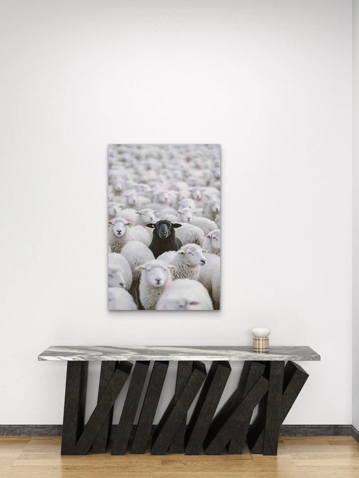 Black Sheep Among the Flock Metal Print Ready to Hang
