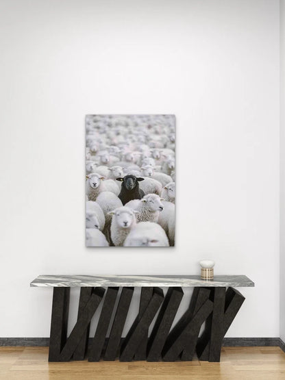 Black Sheep Among the Flock Metal Print Ready to Hang