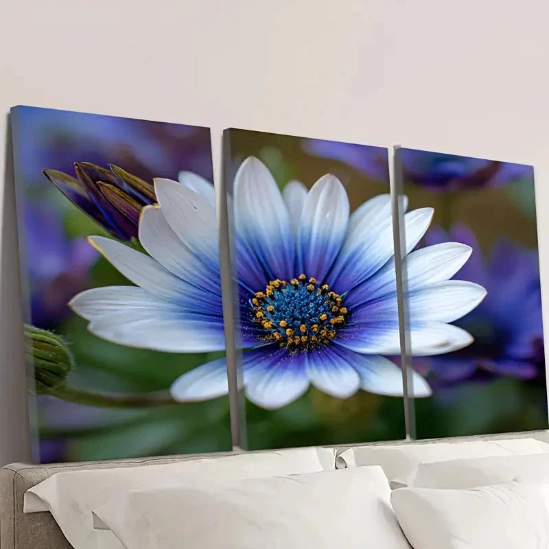 3pcs Vibrant Blue & White Daisy Flowers Wall Art Set Canvas Framed 40x60cm - High Quality Print 100% Australian Made Wall Canvas Ready to Hang