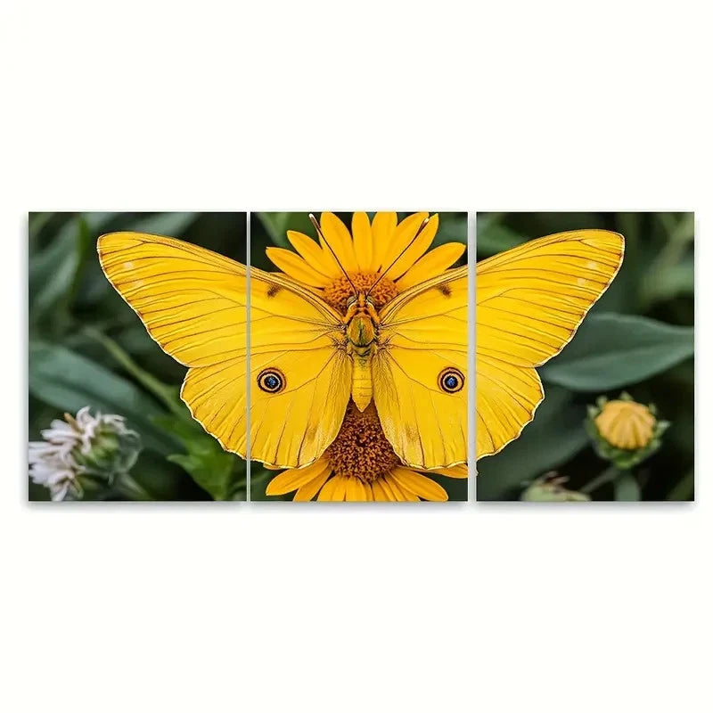 3pcs Bright Yellow Butterfly Wall Art Print RY   Wall Art Set Canvas Framed 40x60cm - High Quality Print 100% Australian Made Wall Canvas Ready to Hang - Bella Home Decor