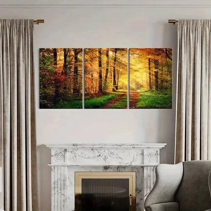 3pcs Forest Woods at Sunshine Natural Wall Art Canvas Unframed - High Quality Print 100% Australian Made Wall Canvas - Bella Home Decor
