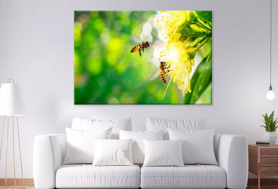 Bee Collecting Pollen In Flower Wall Art Decor 100% Australian Made - Bella Home Decor