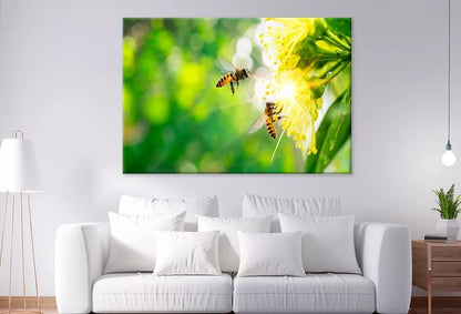 Bee Collecting Pollen In Flower Wall Art Decor 100% Australian Made - Bella Home Decor
