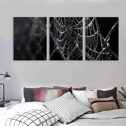 3pcs Close Up of Spider Webs on a Chain   Wall Art Set Canvas Framed 50x70cm - High Quality Print 100% Australian Made Wall Canvas Ready to Hang - Bella Home Decor