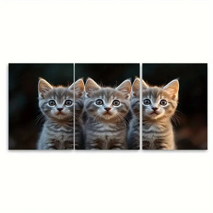 3pcs Fluffy Grey Cats with Blue Eyes C  Wall Art Set Canvas Framed 40x60cm - High Quality Print 100% Australian Made Wall Canvas Ready to Hang - Bella Home Decor