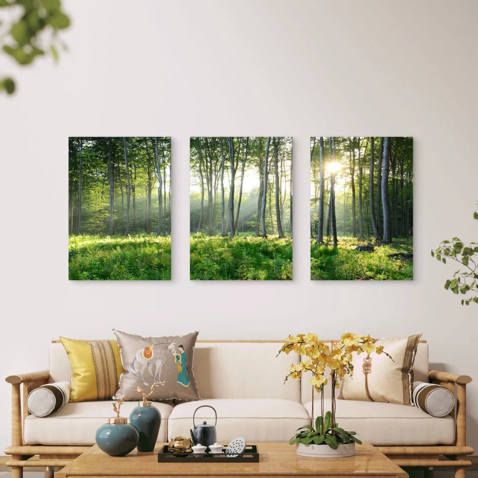 3pcs Golden Sunbeams Pierce Through Forest Tree Wall Art Set Canvas Framed 60x90cm - High Quality Print 100% Australian Made Wall Canvas Ready to Hang - Bella Home Decor