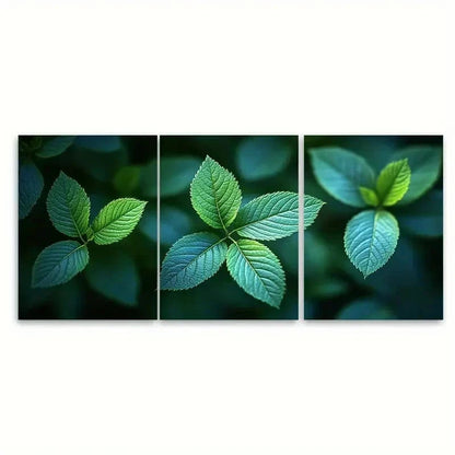 3pcs Abstract Green Leaves EI Wall Art Set Canvas Framed 40x60cm - High Quality Print 100% Australian Made Wall Canvas Ready to Hang - Bella Home Decor